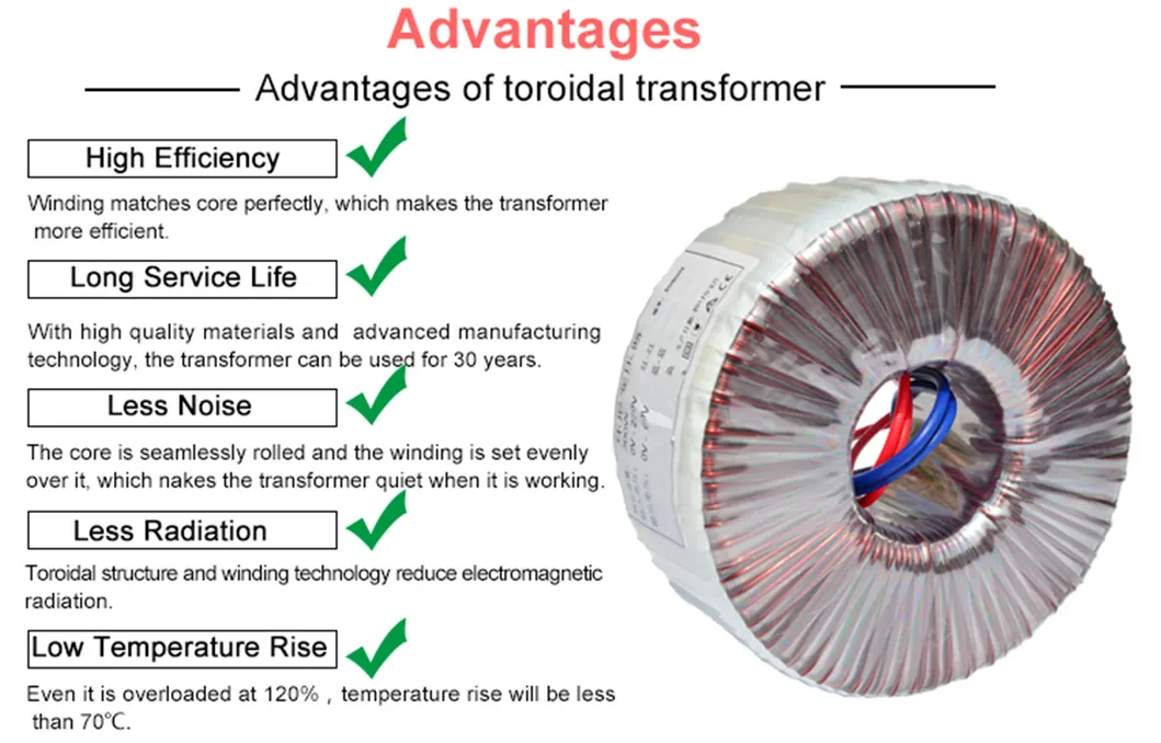 110V 220V 230V Toroidal Transformer