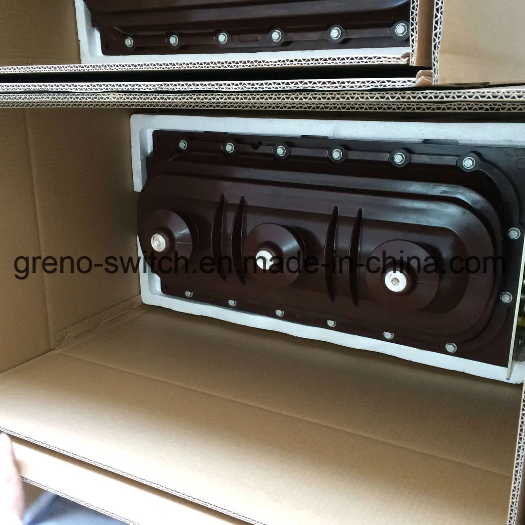 12kv Sf6 Incoming Load Break Switch with Manual Mechanism