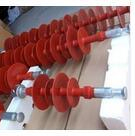 2021 Hot Sale Polymeric Insulator for Transmission Lines
