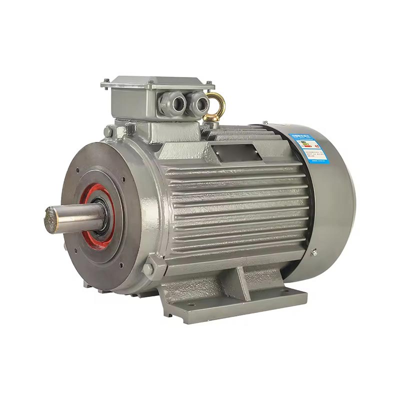 What Makes an Induction Motor the Backbone of Modern Industry?