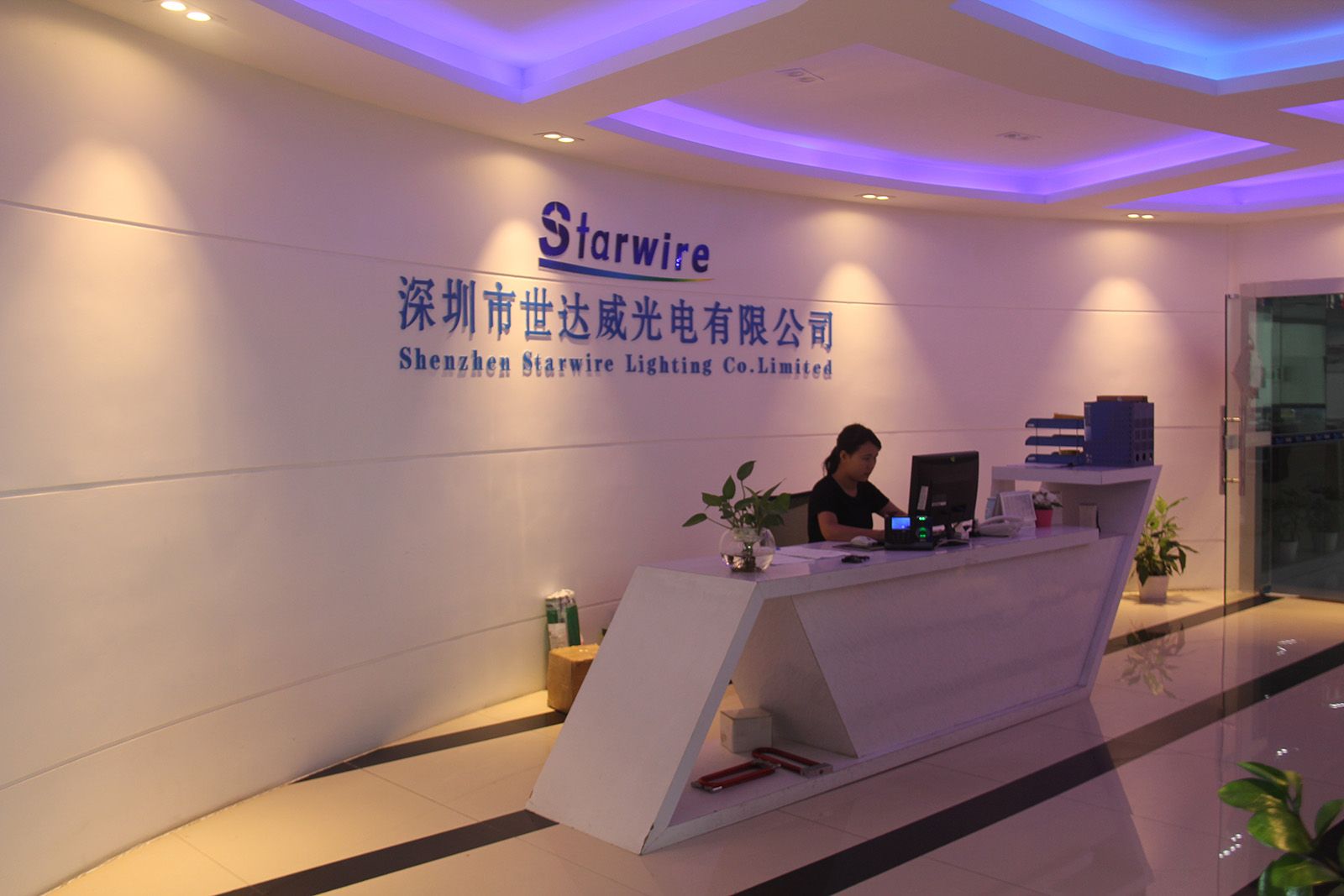 60W LED Transformer for LED Strip (SW- 12060 -WF / SW-24060-WF)