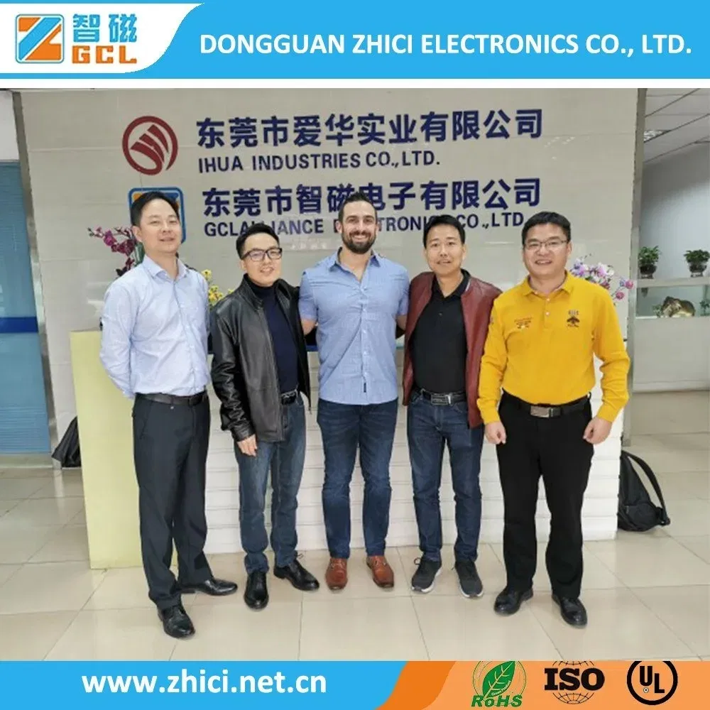 High Quality Power Supply 12V 5W High Frequency Eel19 PCB Mounting Flyback Transformer for Mobile Phone Parts