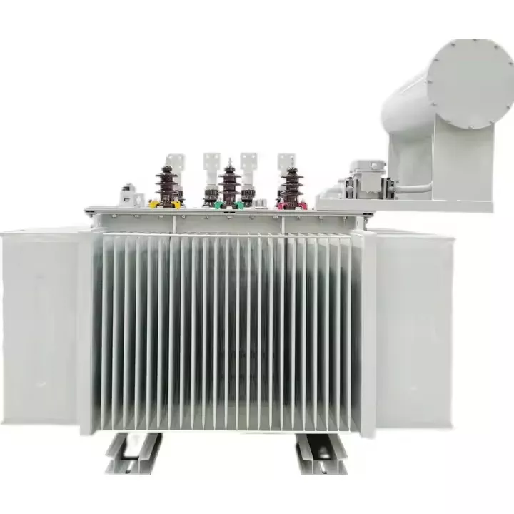 Oil Immersed Transformer