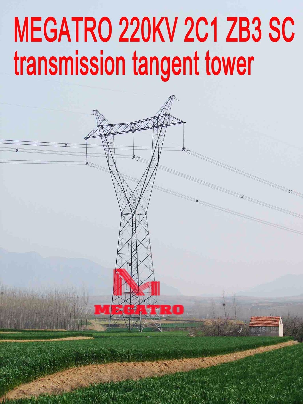 Megatro 220kv 2c1 Zb3 Sc Transmission Tangent Tower
