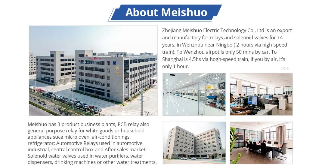 Meishuo Mpb Miniature 10A 240VAC 12V 48V PC Board Relay