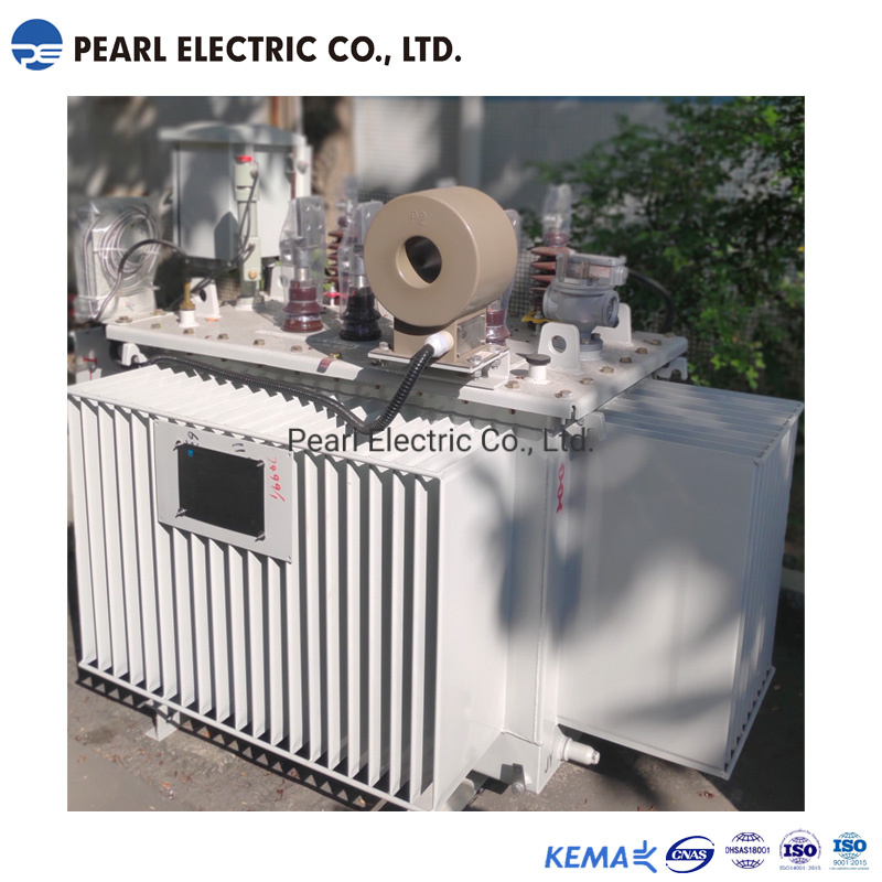 Oil-Immersed Distribution Transformers with Conservator
