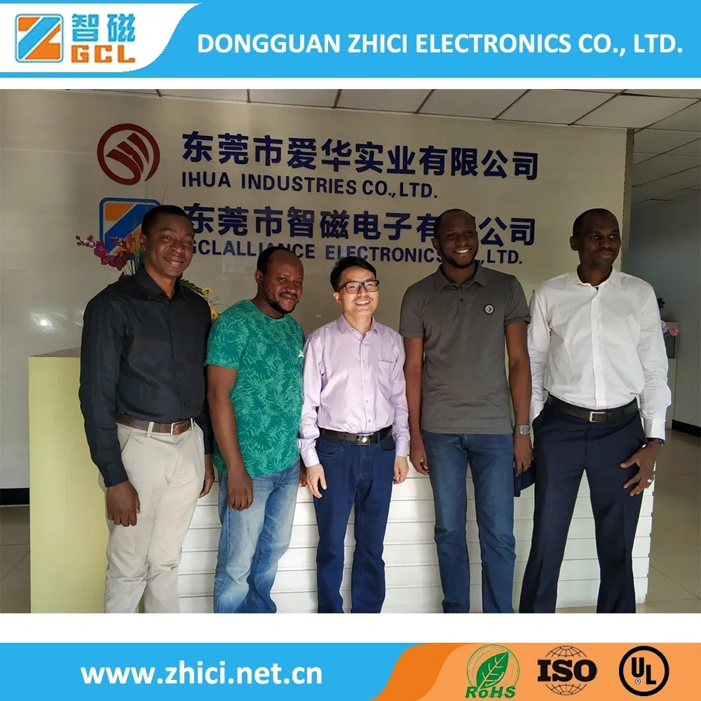 UL Approved Ei28 -Ei54 50/60Hz Type Low Frequency Transformer for PCB Mount